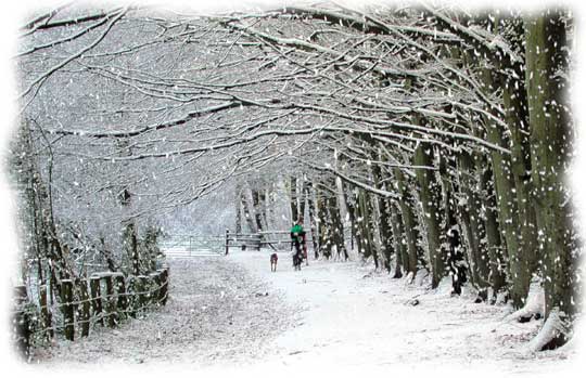 White Snow and Dyzio