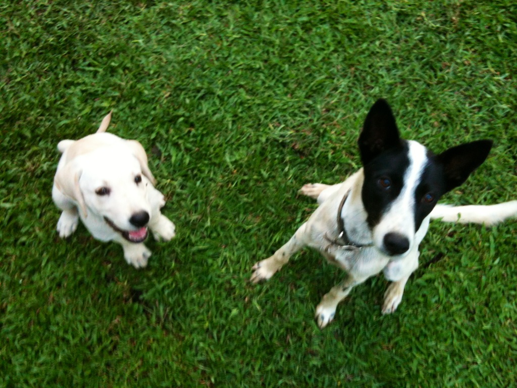 Zoey, hunter. James,&nbsp;cute.