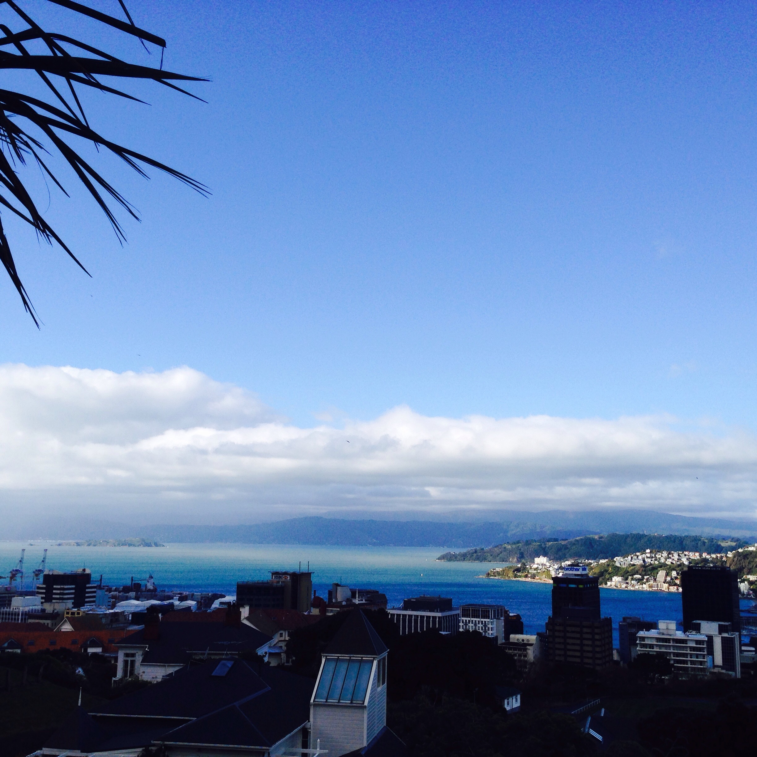 Wellington Cable Car and Botanic Gardens